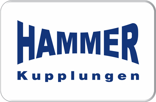 31-HAMMER